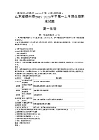 6、【全国百强校】山东省德州市2019-2020学年高一上学期生物期末试题（教师版）