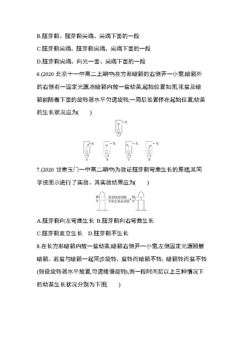 第1节 植物生长素练习题03