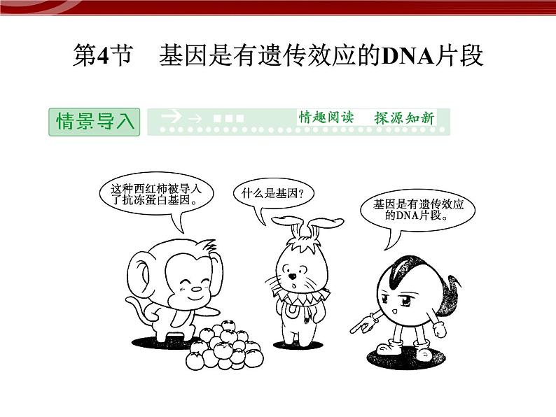 高效课堂同步课件:3-4基因是有遗传效应的DNA片段(必修2)第1页