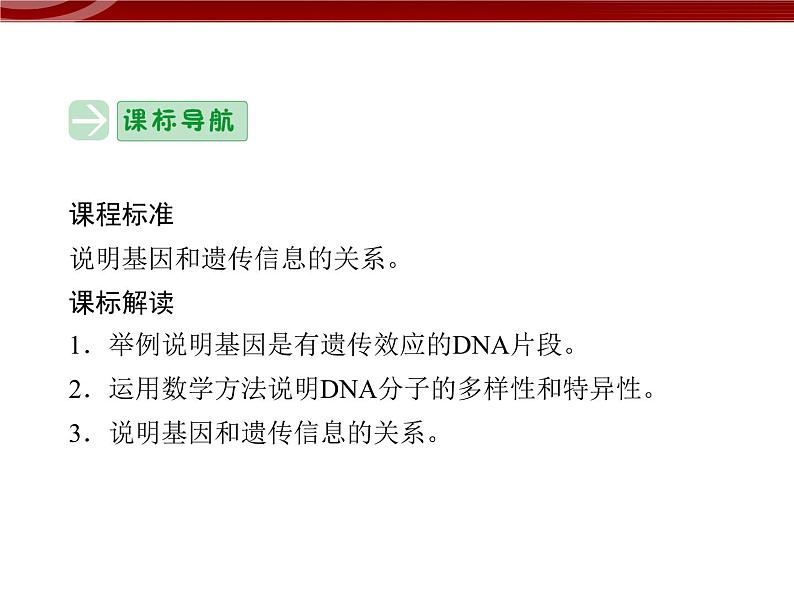 高效课堂同步课件:3-4基因是有遗传效应的DNA片段(必修2)第2页