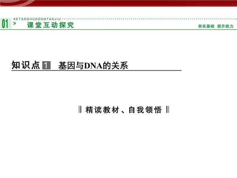 高效课堂同步课件:3-4基因是有遗传效应的DNA片段(必修2)第3页