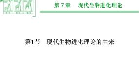 高中人教版 (新课标)第1节 现代生物进化理论的由来教课ppt课件