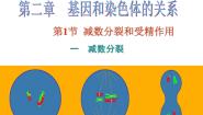 高中生物人教版 (新课标)必修2《遗传与进化》第二章 基因和染色体的关系第1节 减数分裂和受精作用一 减数分裂课文ppt课件