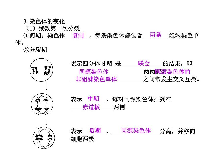 【人教版】高中生物必修二《 2.1 減數(shù)分裂》課件第6頁(yè)