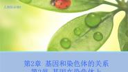 2020-2021学年第2节 基因在染色体上教学课件ppt