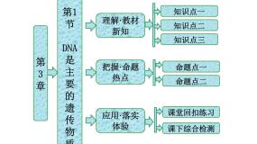 高中生物人教版 (新课标)必修2《遗传与进化》第1节 DNA是主要的遗传物质图文课件ppt