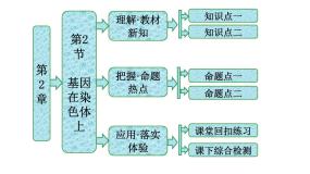 人教版 (新课标)第2节 基因在染色体上教学ppt课件
