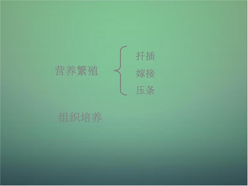 高中生物 3.1菊花的組織培養(yǎng)課件 新人教版選修1第2頁