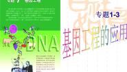 人教版 (新课标)选修3《现代生物科技专题》1.3 基因工程的应用集体备课课件ppt