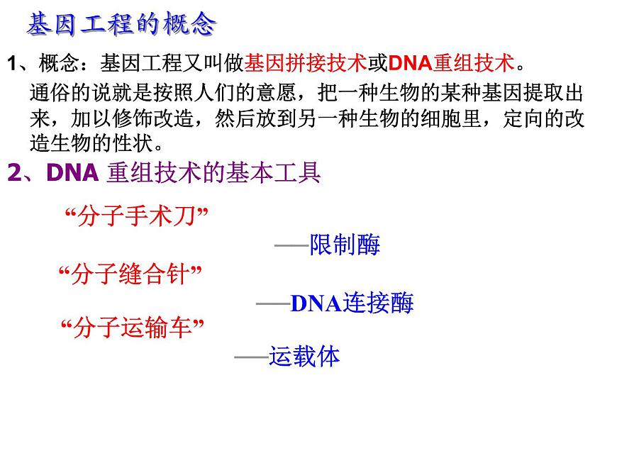 人教版高中生物選修三專題1+1-1dna重組技術(shù)的基本工具(共24張ppt)第2頁