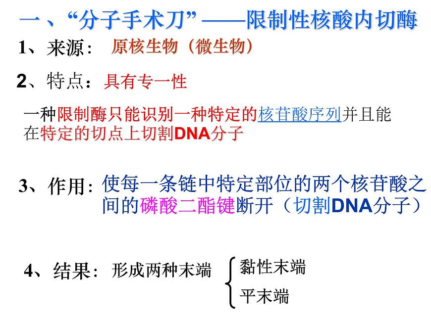 人教版高中生物選修三專題1+1-1dna重組技術(shù)的基本工具（共24張ppt）第4頁