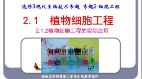 高中人教版 (新课标)专题2 细胞工程2.1 植物细胞工程2.1.2 植物细胞工程的实际应用多媒体教学课件ppt