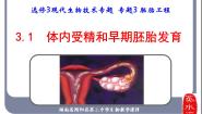 高中生物人教版 (新课标)选修3《现代生物科技专题》3.1 体内受精和早期胚胎发育课前预习课件ppt