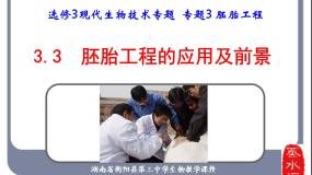 高中生物人教版 (新课标)选修3《现代生物科技专题》专题3 胚胎工程3.3 胚胎工程的应用及前景教学演示课件ppt