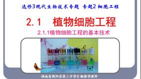 高中生物人教版 (新课标)选修3《现代生物科技专题》专题2 细胞工程2.1 植物细胞工程2.1.1 植物细胞工程的基本技术教案配套课件ppt