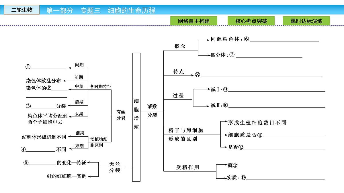 高三生物大二轮专题复习课件:专题三 细胞的生命历程3.1第4页