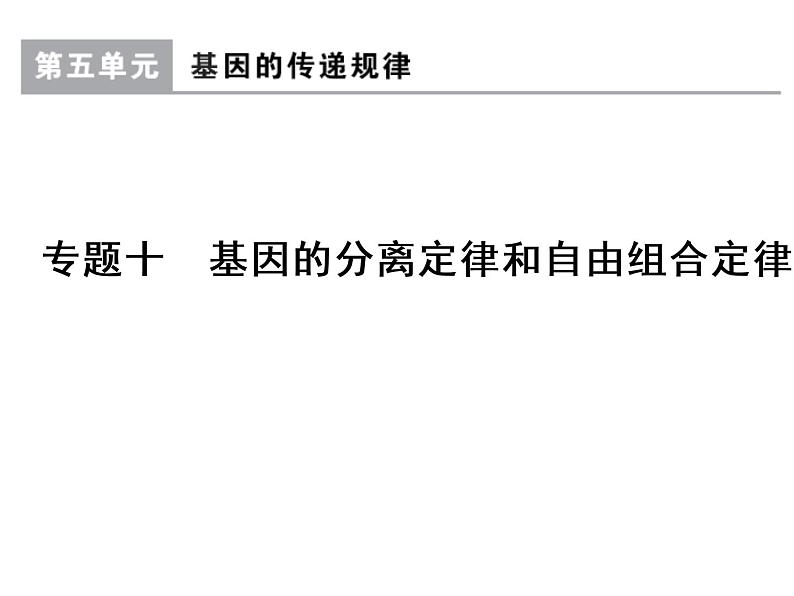 高考生物一轮总复习课件:专题10 基因的分离定律和自由组合定律第1页