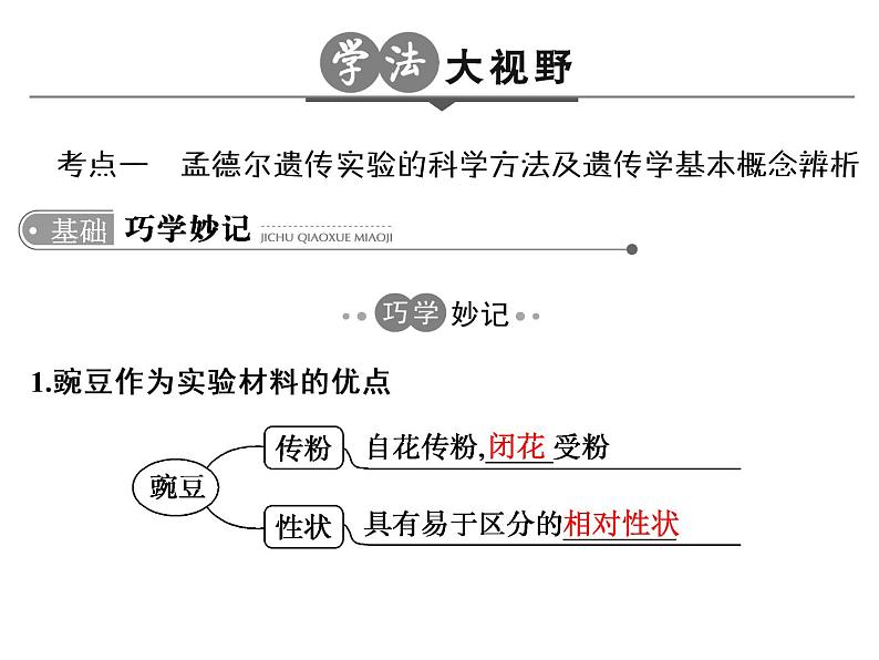 高考生物一轮总复习课件:专题10 基因的分离定律和自由组合定律第3页