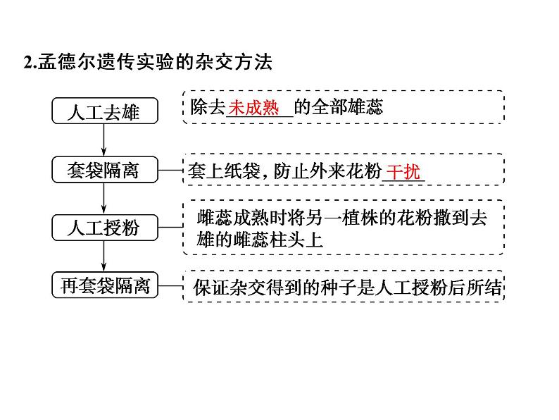 高考生物一轮总复习课件:专题10 基因的分离定律和自由组合定律第4页