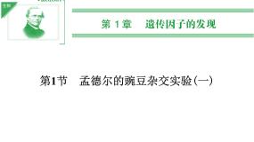 高中生物人教版 (新课标)必修2《遗传与进化》第2节 孟德尔的豌豆杂交实验（二）优秀ppt课件