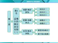 人教版必修2课件 第1章 第2节 孟德尔豌豆杂交试验(二)