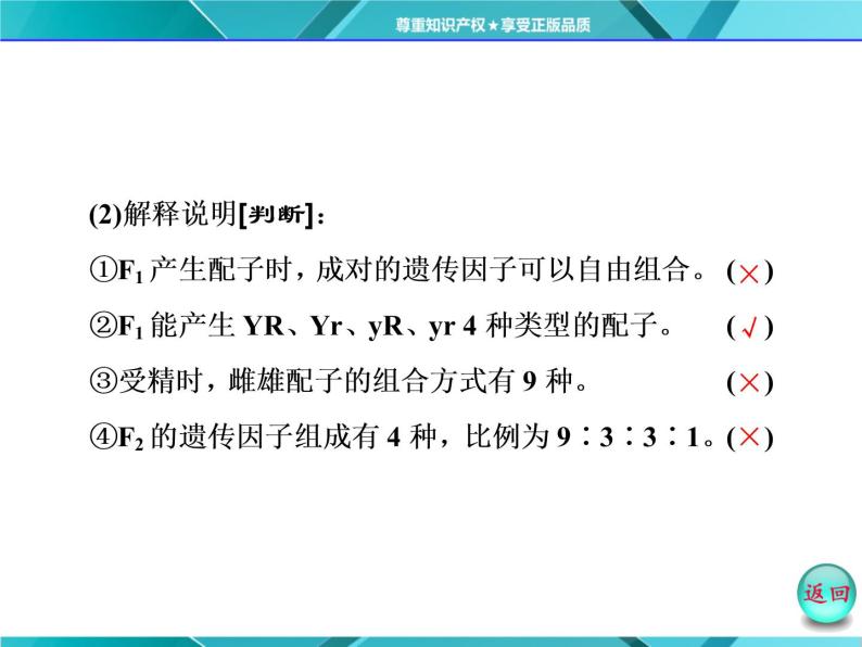 人教版必修2课件 第1章 第2节 孟德尔豌豆杂交试验(二)08