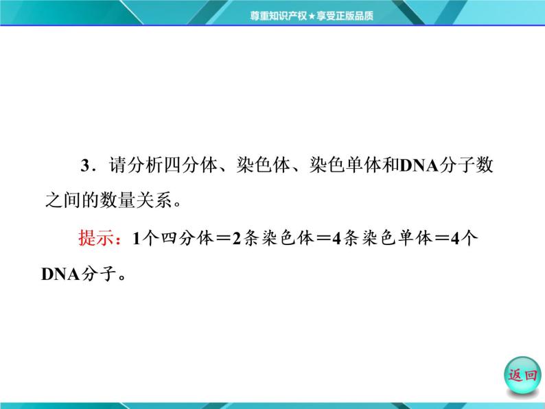 人教版必修2课件 第2章 第1节 第1课时 减数分裂与精子的形成过程07