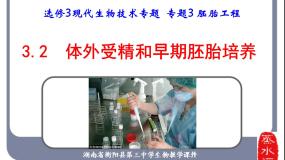 高中生物人教版 (新课标)选修3《现代生物科技专题》3.2 体外受精和早期胚胎培育优秀课件ppt