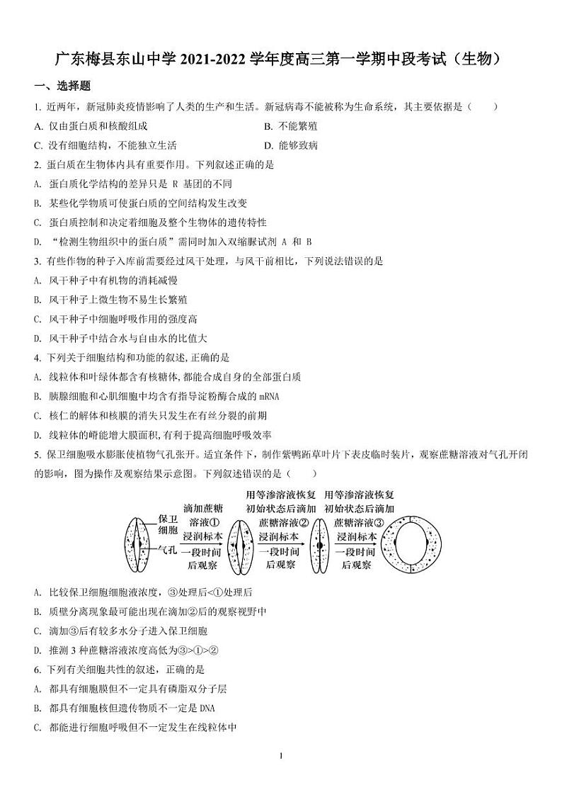 广东梅县东山中学2021-2022学年度高三第一学期中段考试生物(含答案)练习题第1页