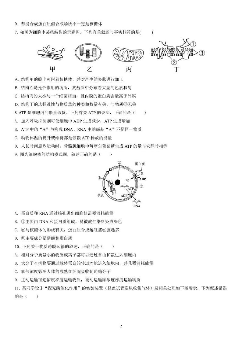 广东梅县东山中学2021-2022学年度高三第一学期中段考试生物(含答案)练习题第2页