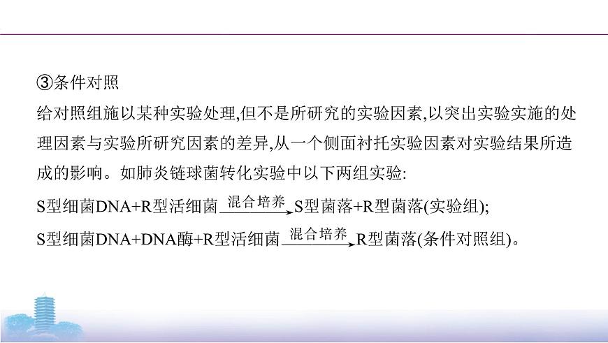 高考一輪復(fù)習(xí)實(shí)驗(yàn)微課3 辨別“對比實(shí)驗(yàn)”與“對照實(shí)驗(yàn)”課件PPT第7頁