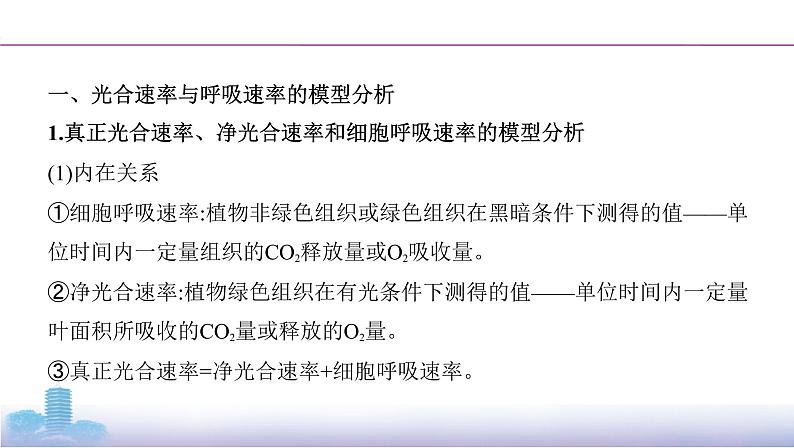 高考一轮复习拓展微课3 光合速率与呼吸速率的模型分析与实验测定课件PPT02