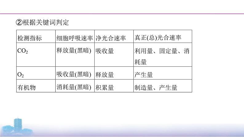 高考一轮复习拓展微课3 光合速率与呼吸速率的模型分析与实验测定课件PPT04