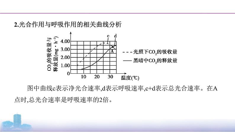 高考一轮复习拓展微课3 光合速率与呼吸速率的模型分析与实验测定课件PPT05