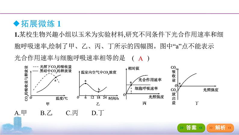 高考一轮复习拓展微课3 光合速率与呼吸速率的模型分析与实验测定课件PPT06