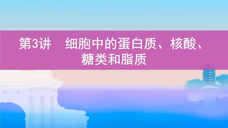 高考一轮复习第3讲 细胞中的蛋白质、核酸、糖类和脂质课件PPT第1页