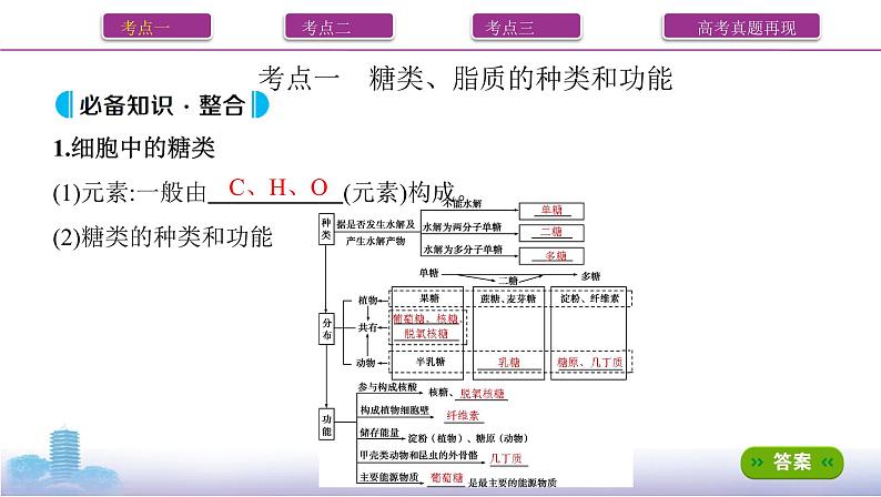 高考一轮复习第3讲 细胞中的蛋白质、核酸、糖类和脂质课件PPT第2页