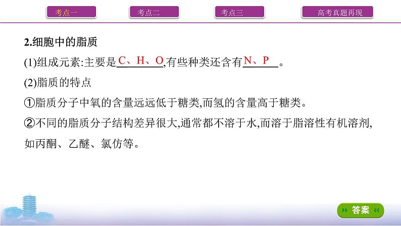 高考一轮复习第3讲 细胞中的蛋白质、核酸、糖类和脂质课件PPT第3页