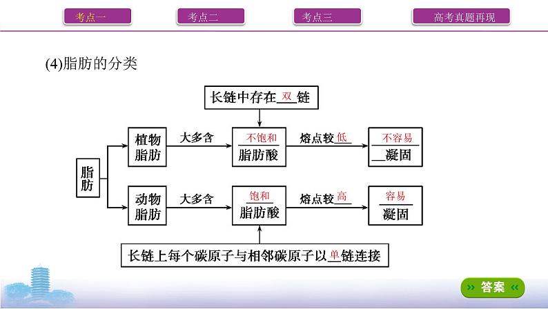 高考一轮复习第3讲 细胞中的蛋白质、核酸、糖类和脂质课件PPT第5页