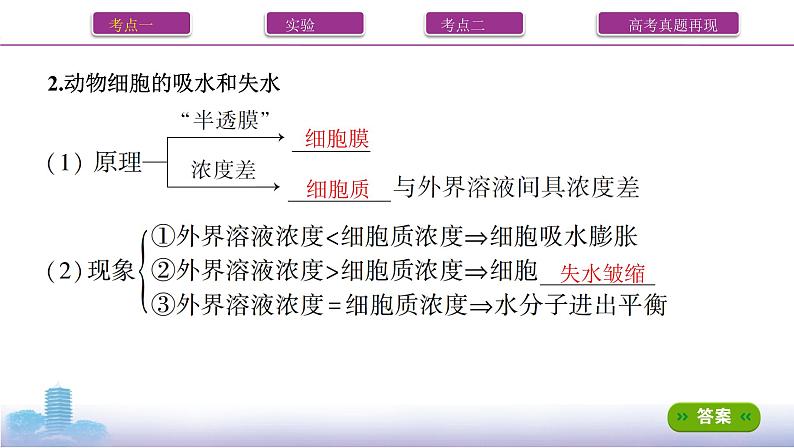 高考一轮复习第6讲 细胞的物质输入和输出课件PPT03