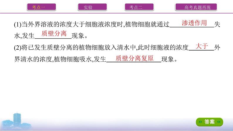 高考一轮复习第6讲 细胞的物质输入和输出课件PPT05