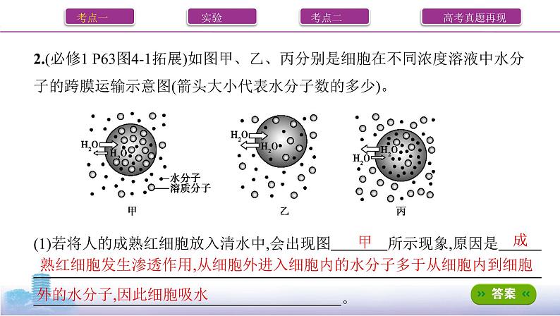 高考一轮复习第6讲 细胞的物质输入和输出课件PPT08
