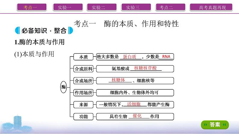 高考一轮复习第7讲 酶和ATP课件PPT第2页