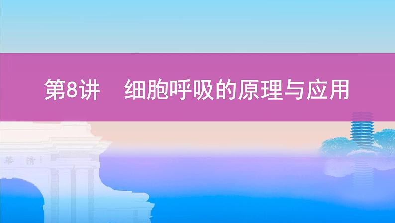 高考一轮复习第8讲 细胞呼吸的原理与应用课件PPT第1页