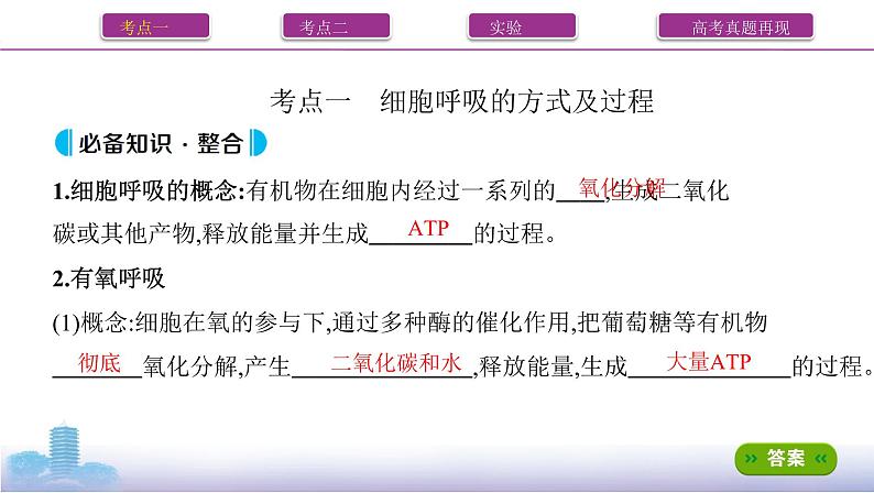 高考一轮复习第8讲 细胞呼吸的原理与应用课件PPT第2页
