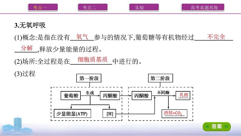 高考一轮复习第8讲 细胞呼吸的原理与应用课件PPT第4页