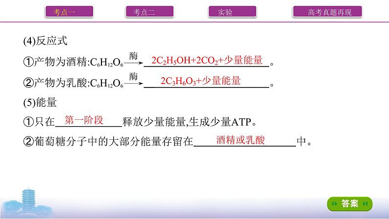 高考一轮复习第8讲 细胞呼吸的原理与应用课件PPT第5页