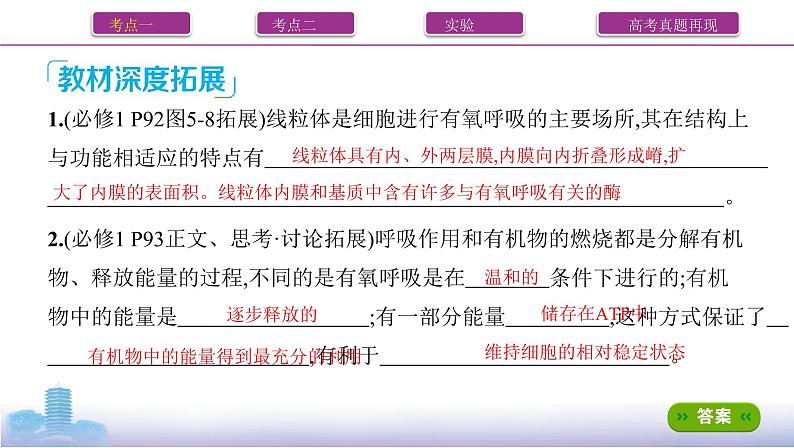 高考一轮复习第8讲 细胞呼吸的原理与应用课件PPT第8页