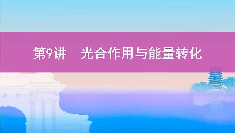 高考一轮复习第9讲 光合作用与能量转化课件PPT第1页