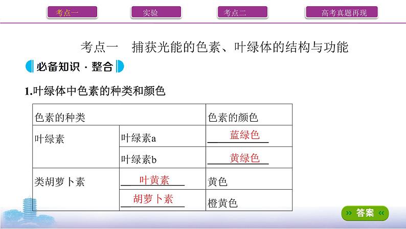 高考一轮复习第9讲 光合作用与能量转化课件PPT第2页